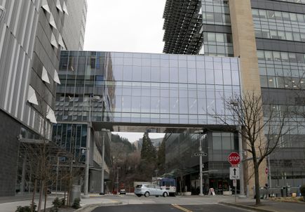 CHH2 skybridge