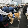 CHH2 and Rood Family Pavilion opening ceremony