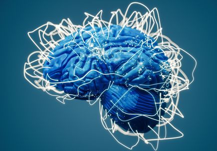 Brain mapping