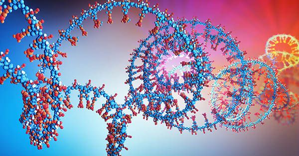 3d illustration of a  part of RNA chain from which the deoxyribonucleic acid or DNA is composed