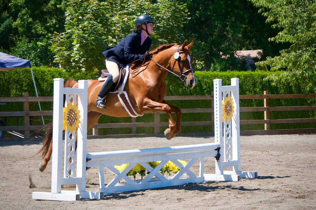 Kathryn Marxen-Simonson on her arabian horse and jumping over a fence obstacle in a sport jumping competition