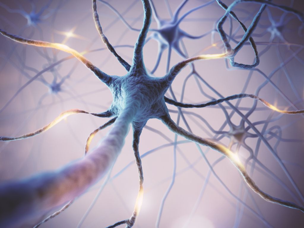 Microscopic of neural network brain cells
