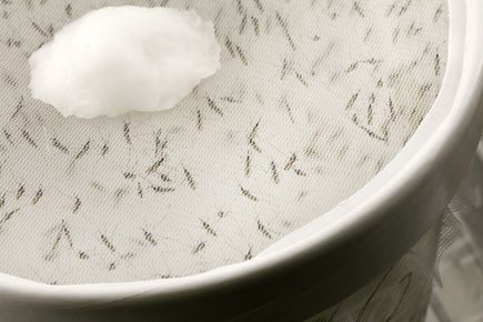 OHSU Insectary