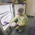 OHSU Insectary