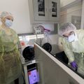 OHSU Insectary