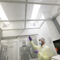 OHSU Insectary