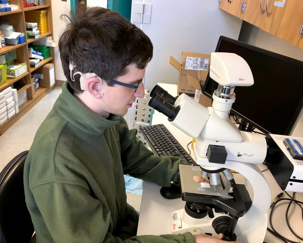 young man with a hearing aid, looking into a microscope, seated