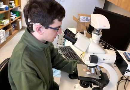 Lewis & Clark student helps advance with Usher’s syndrome research at OHSU