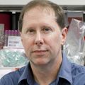 Mark Slifka, Ph.D.