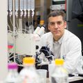 Steven Mansoor, M.D., Ph.D.