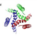 VIDEO DOWNLOAD: Cardio P2X7 protein receptor animation