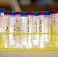   Lab details