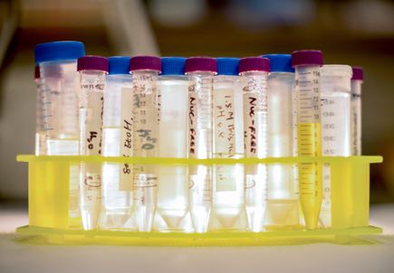   Lab details