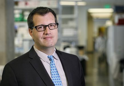 Paul Spellman, Ph.D.