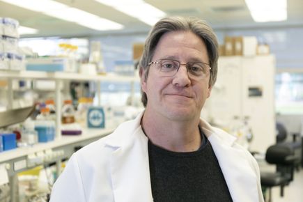 Larry Sherman, Ph.D.