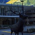 Elks Children's Eye Clinic