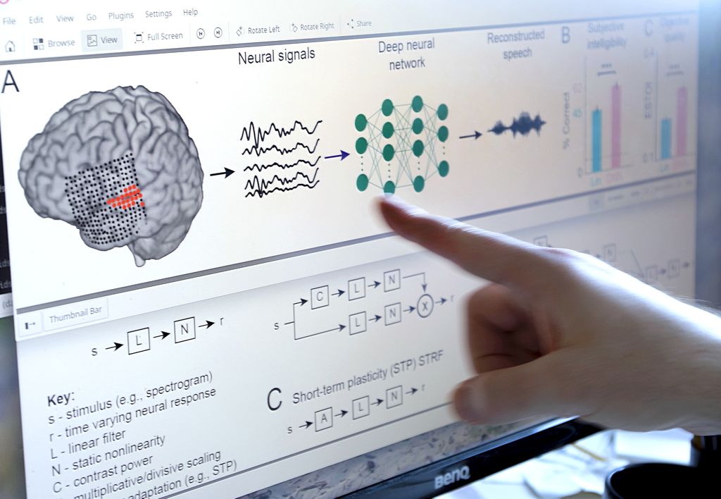 Image of person's finger pointing to diagram on a computer of a brain, and graphs