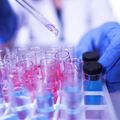 Lab testing