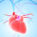 3D heart illustration