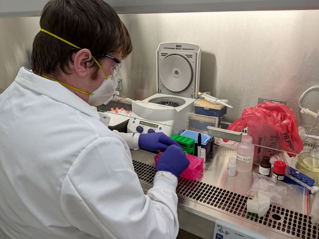 COVID-19 genome sequencing