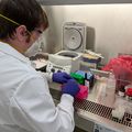 COVID-19 genome sequencing
