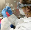 COVID-19 genome sequencing