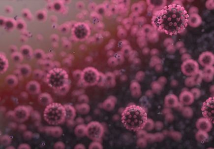 Coronavirus