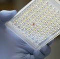 New clinical trial at OHSU tests donated antibodies