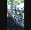 Wedding at OHSU