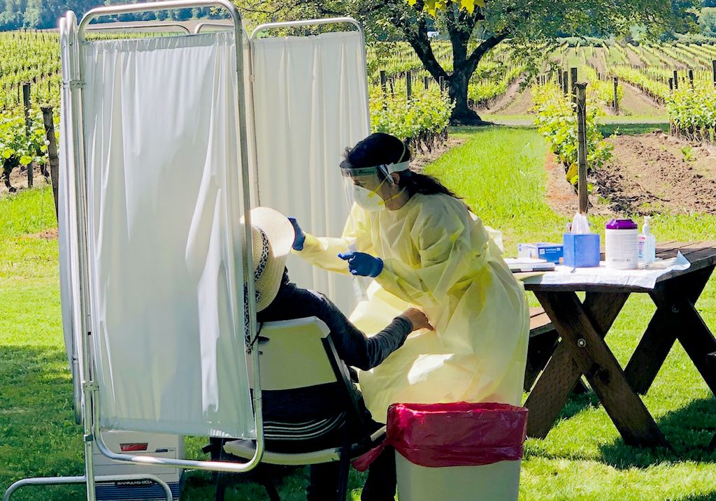 La enfermera del Programa de asistencia médica comunitaria “¡Salud!”, Patty Robleto, le hace una evaluación de COVID-19 en el campo a un trabajador de un viñedo en mayo. El programa de asistencia médica comunitaria sirve a trabajadores de viñedos y bodegas de Willamette Valley para prevenir el contagio del virus. (Foto provista por ¡Salud!)