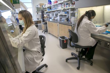 Ben Burwitz lab