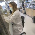 Ben Burwitz lab