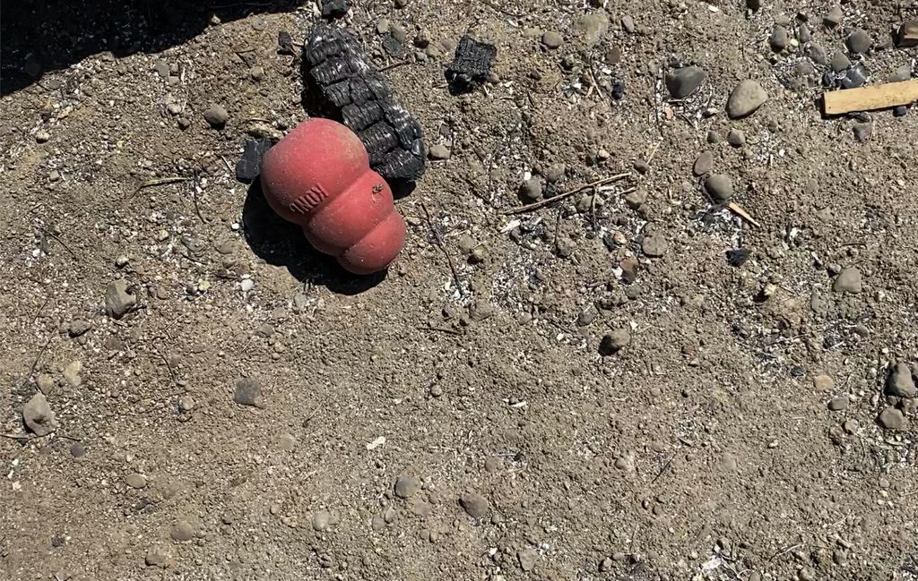 A ridged, red, rubber dog toy lies in the dirt next to a small piece of burned debris.