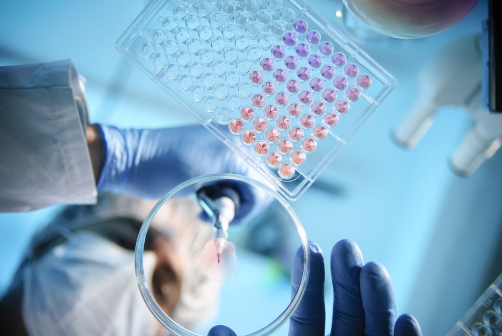 A scientist using a pipette with a microtiter plate and a petri dish.