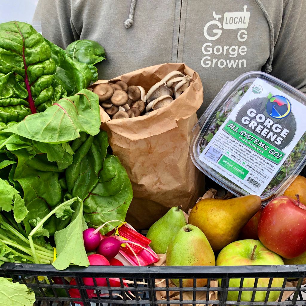 Close-cropped shot of a torso in a Gorge Grown sweatshirt holding a basket filled with lettuce, radishes, pears, apples, and mushrooms.