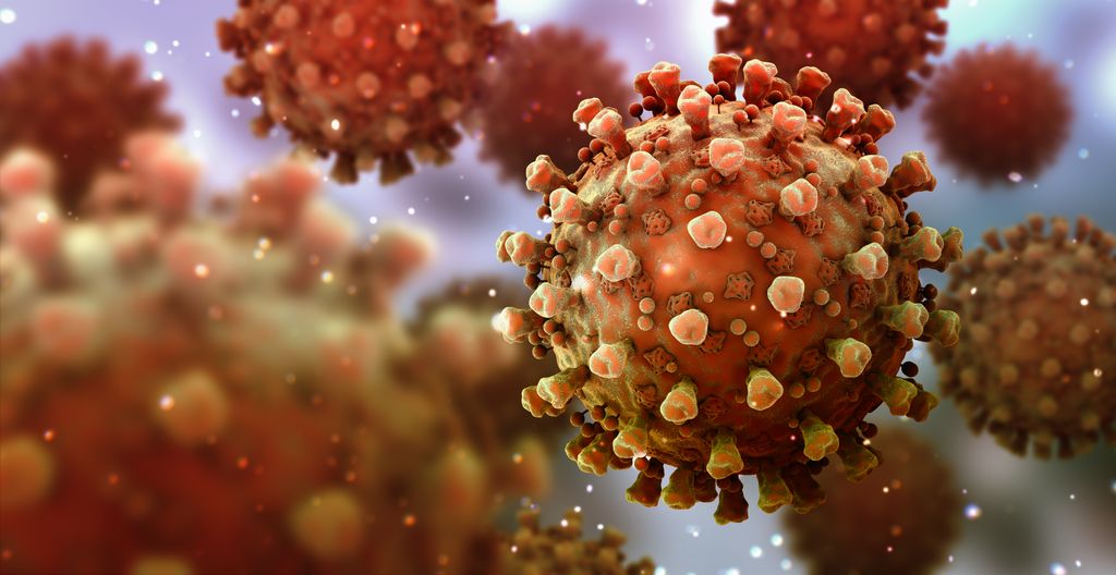 A close-up of several coronaviruses, red spheres with many small protruding orange spikes.