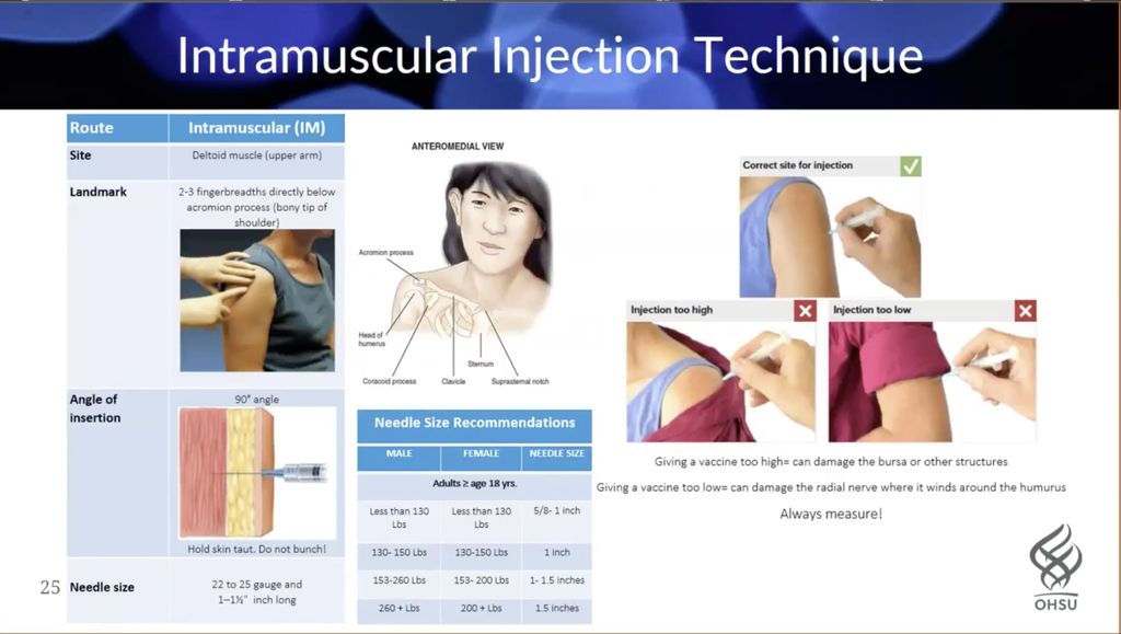 A screenshot of OHSU’s COVID-19 Vaccination Training video shows multiple illustrations of how injectable vaccinations should be administered into the human shoulder. 