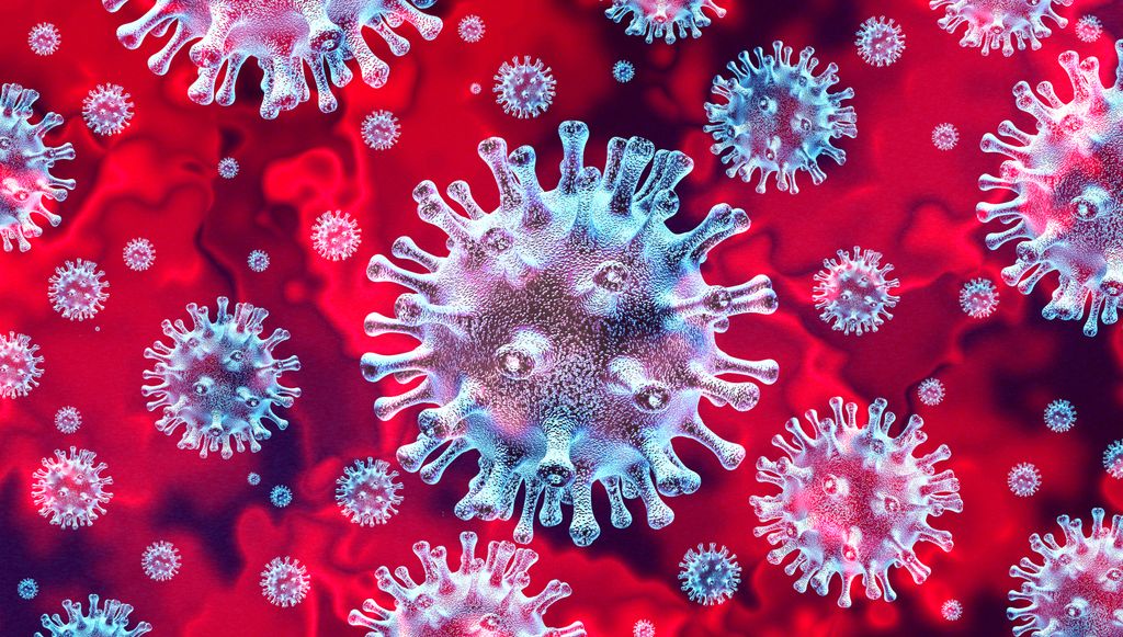 coronavirus cells under magnification in  blue with a red background.  A new study from Oregon Health & Science University found that antibodies from the novel coronavirus cross-react with other strains of coronavirus, raising important implications about immunity as the SARS-CoV-2 virus continues to mutate. (Getty Images)