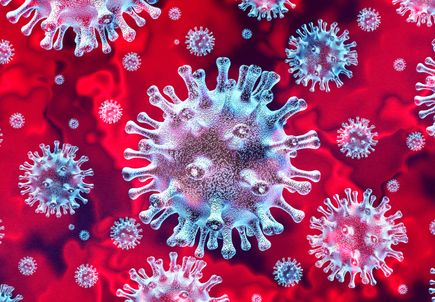 Coronavirus Outbreak