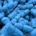 Microbiome
