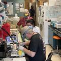 Susan Hayflick MD awarded 3