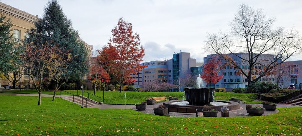 COVID-19 forecast Dec. 2, 2021. Trees and water fountain on campus with the main OHSU building in the background on a clear fall day.