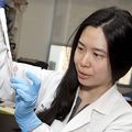 Phoebe Lin, M.D.,  Ph.D.