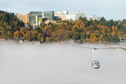 OHSU 2021 accomplishments - The year in review
