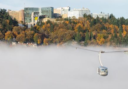 OHSU 2021 accomplishments: The year in review