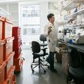 Cancer research