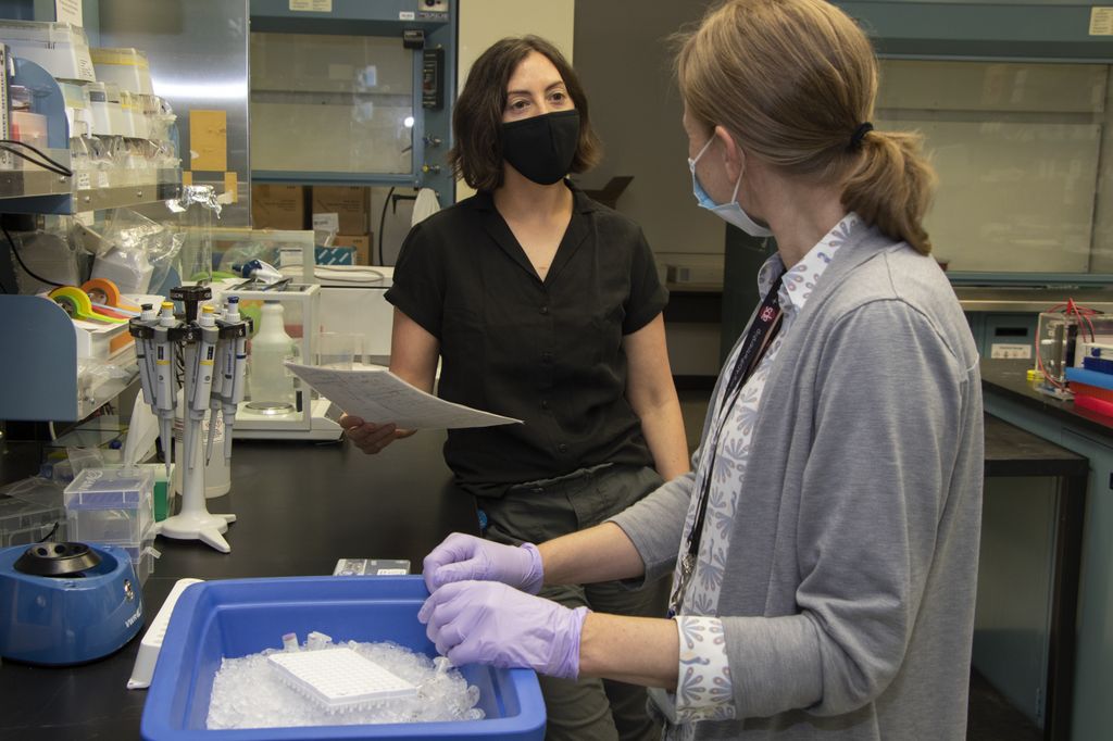 : A woman wearing a face masks holds up a piece of paper while standing at a research lab bench and speaks with a masked female who is handing samples in a bin of ice while the two speak with each other.