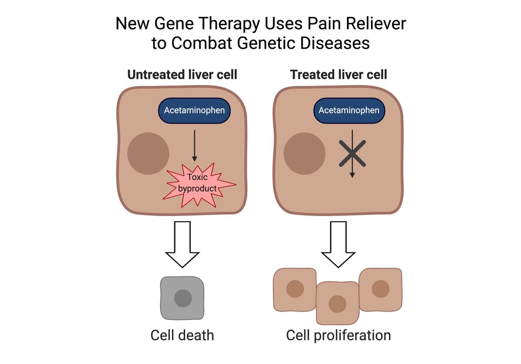 Illustration of gene therapy that uses pain reliever to combat genetic diseases
