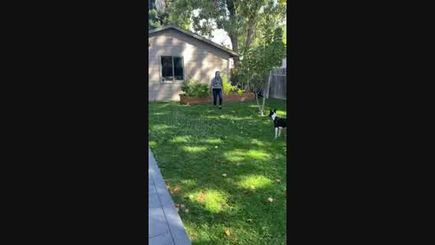 Spine recovery patient video