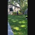 Spine recovery patient video